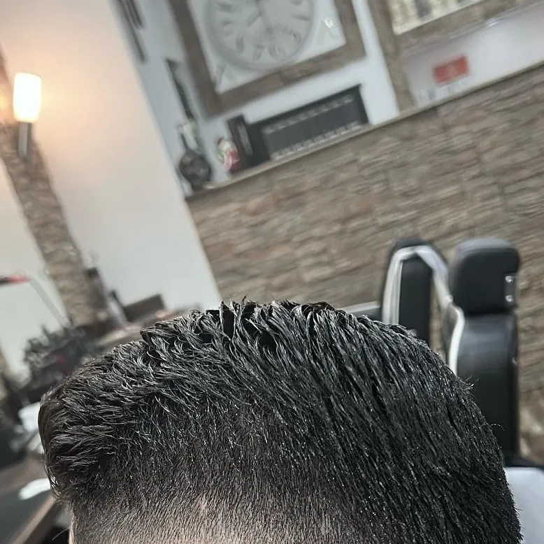 Kurzer Schnitt mit Deckhaar nach vorn